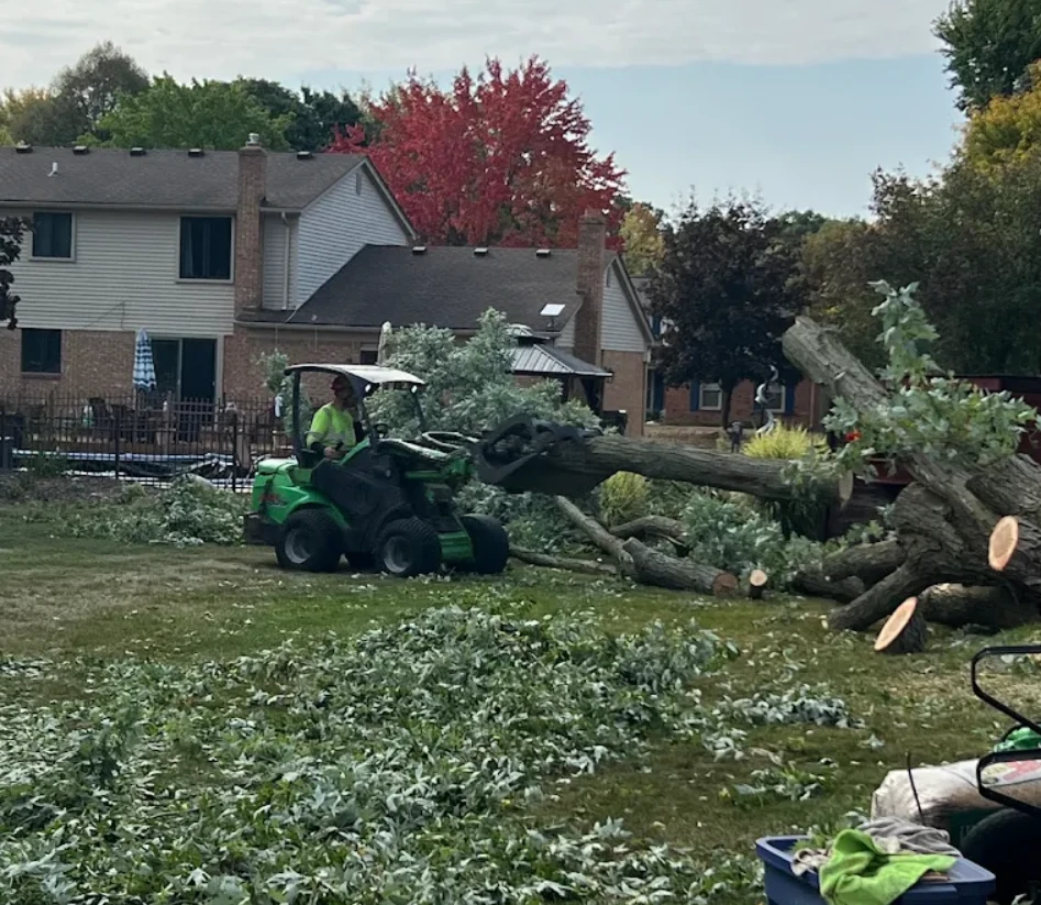 Crew member using a compact loader to haul logs from a backyard tree removal